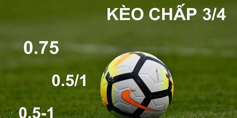 cuoc chap 8xbet 2 Cược chấp nửa một – 3/4